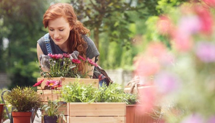 По-значителни увеличения на облачността се очакват във вторник