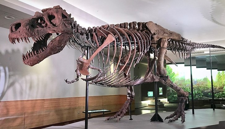 Теглото му е било 8,8 тона /Снимката е илюстративна/