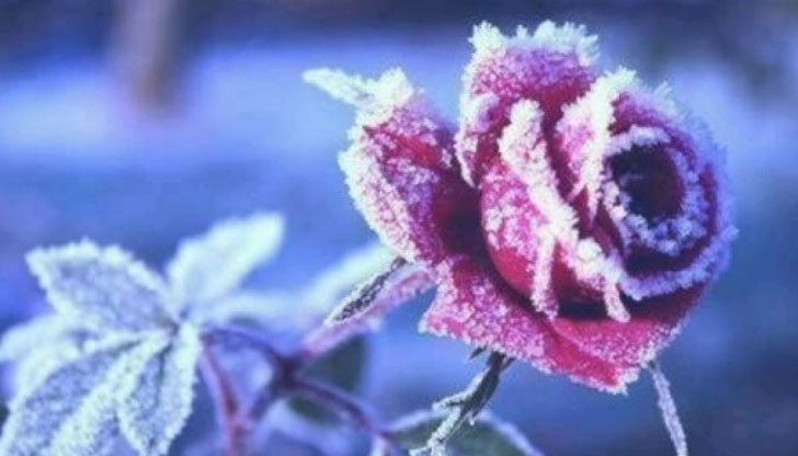 Минимални температури, близки до 0 градуса, ще има до към 20 април Минимални температури, близки до 0 градуса, ще има до към 20 април