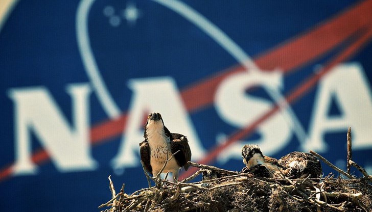 В международния конкурс тази година участваха 12 899 ученици от над 30 страни