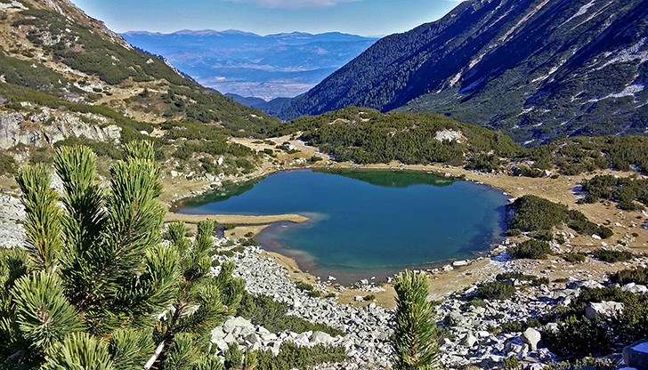 Причината е пашуването на животни Причината е пашуването на животни