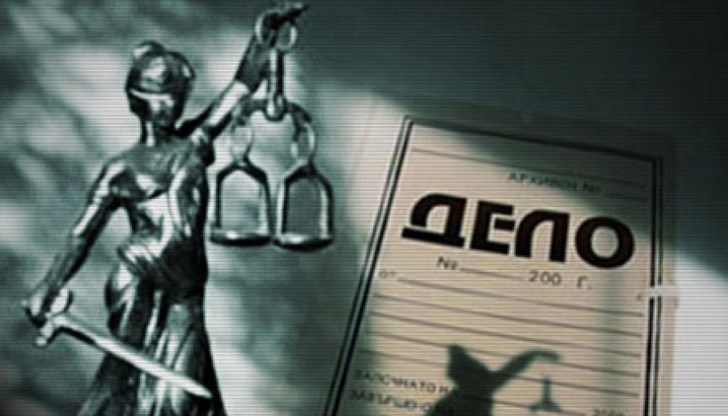 Пробация за срок от 6 месеца определи Специализираният наказателен съд за Румяна Желева