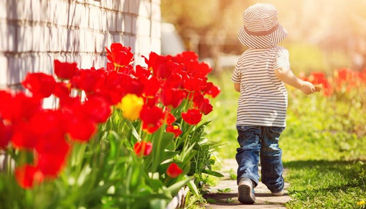 Най-високата температура за повече от четири десетилетия е измерена на 8 март 1975 година - 22.4 градуса Най-високата температура за повече от четири десетилетия е измерена на 8 март 1975 година - 22.4 градуса