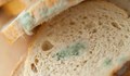 Хранителна добавка срещу мухъл в хляба води до диабет