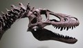 Продават останки от тиранозавър в eBay