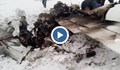 Първи кадри на разбилия се самолет