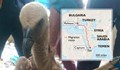 The Times: Български лешояд е задържан за шпионаж в Йемен