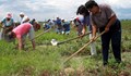 Безработните да работят в земеделието срещу помощи