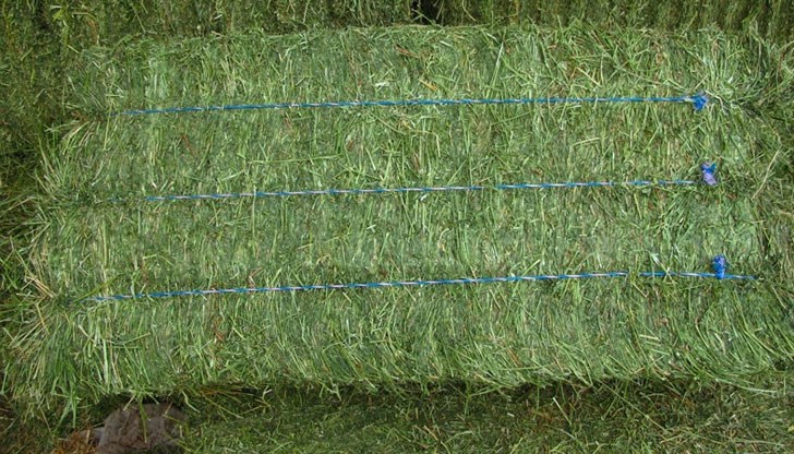 Баща му е предал на полицаите 82 килограма Баща му е предал на полицаите 82 килограма