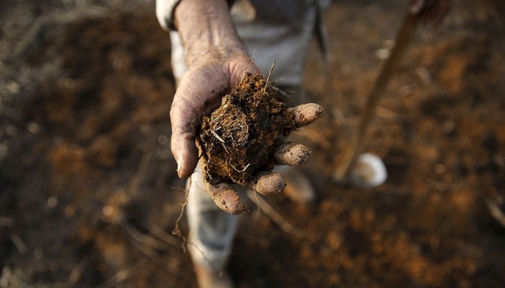 И обезмисля опитите ни да изхранваме нарастващото население на Земята И обезмисля опитите ни да изхранваме нарастващото население на Земята