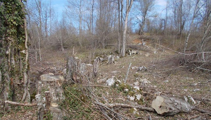 Апетитът идва с яденето, а факта,че това може да се случи в Природен парк е уникално