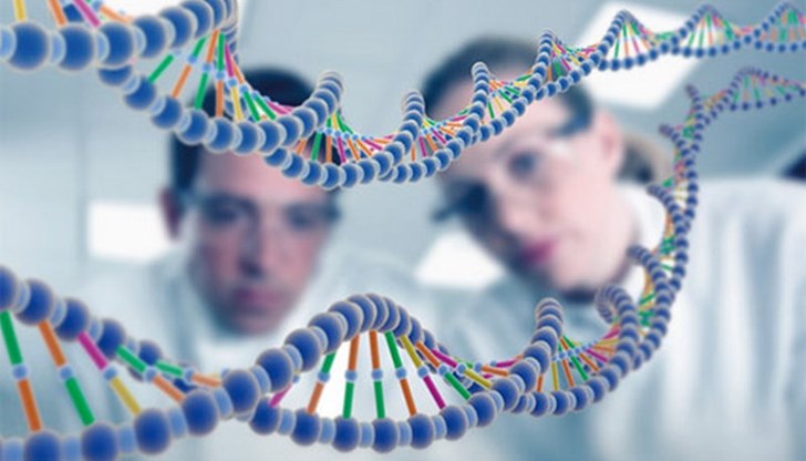 Дали си беден, или богат, реализиран или тотално неуспял, се отразява на изявата на гените ни Дали си беден, или богат, реализиран или тотално неуспял, се отразява на изявата на гените ни