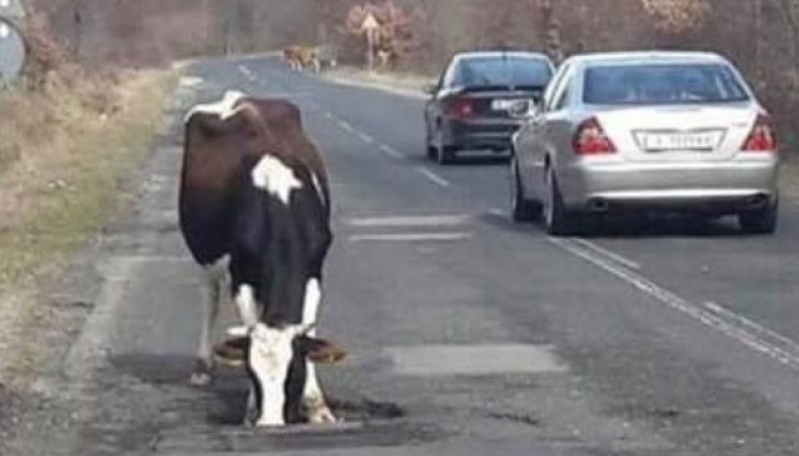 Семейство на почивка се разминава като по чудо от катастрофа след като къса две гуми