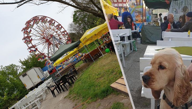 Купували са си дъвки, ластици и са се веселили с музика