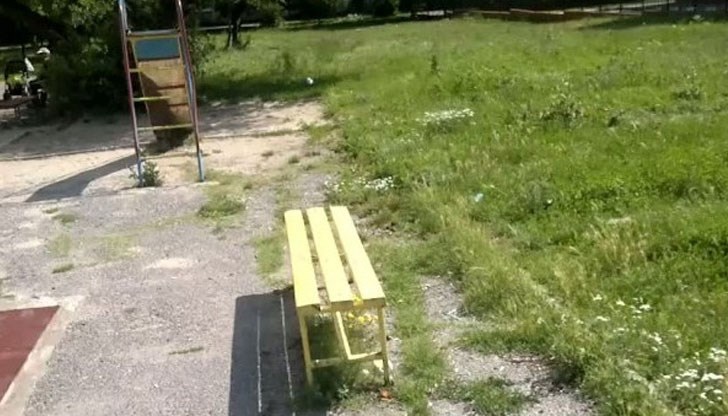 Починало е домашно куче, родителите се притесняват за децата си