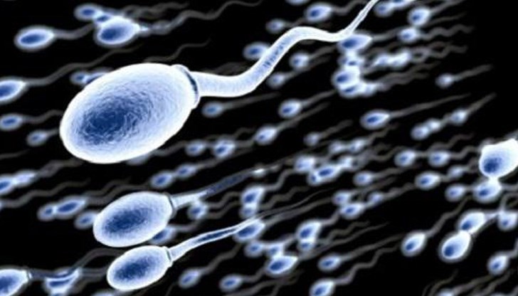 Те имат и таблица с рождените дни и децата на всеки от тях