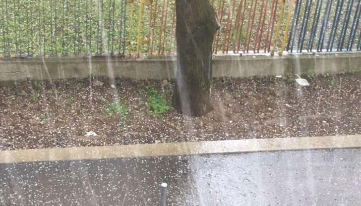 Необичайното за това време на годината явление се е изсипало над село Климент