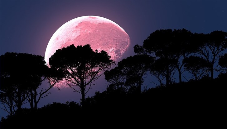 Звездобройците по света могат да се насладят на астрономическо явление Розова Луна