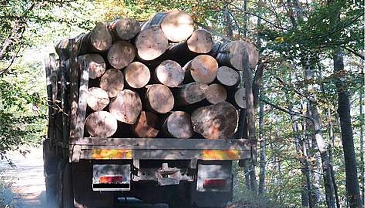 Незаконните дейности в горите са заплаха в страните от Дунавско-Карпатския регион, сред които и България