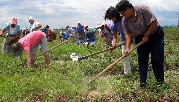 Това предлага бизнеса Това предлага бизнеса