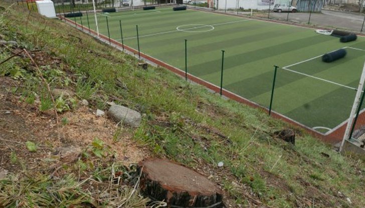 Част от дънерите са покрити с клони, а други са намазани с кал, за да не личи поголовната сеч отдалеч Част от дънерите са покрити с клони, а други са намазани с кал, за да не личи поголовната сеч отдалеч