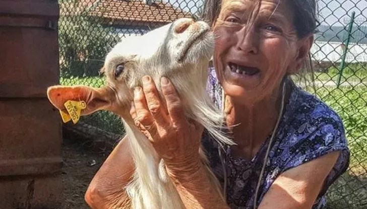 Близо година след масовото умъртвяване на добитък се оказа, че няма категорични доказателства за чумата по дребните преживни животни в Странджа Близо година след масовото умъртвяване на добитък се оказа, че няма категорични доказателства за чумата по дребните преживни животни в Странджа