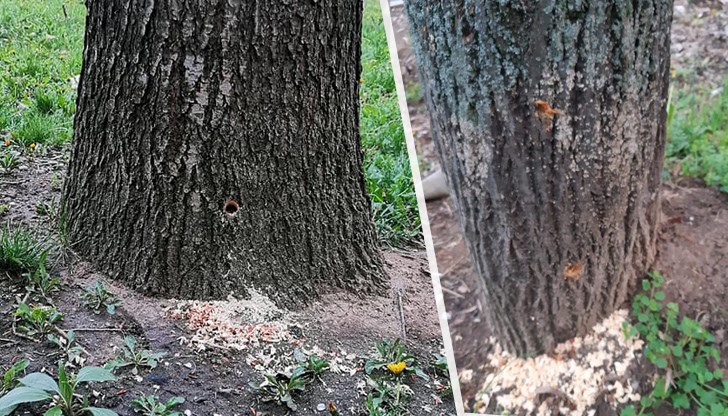 Така строителите получават разрешение за строеж!