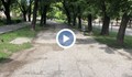 Вече 3 години се бави ремонтът на пешеходните алеи по булевард "Цар Освободител"