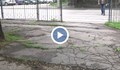 Кога ще ремонтират пешеходните алеи по булевард "Цар Освободител"?