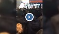 "Черни жилетки" окупираха терминал на летище "Шарл де Гол"