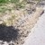 Предизборно асфалтиране на пътя Червена вода - Ново село