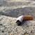 В Гърция забраняват пушенето на плажа