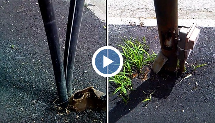 Явно това е някаква украса за прекрасно свършената работа!