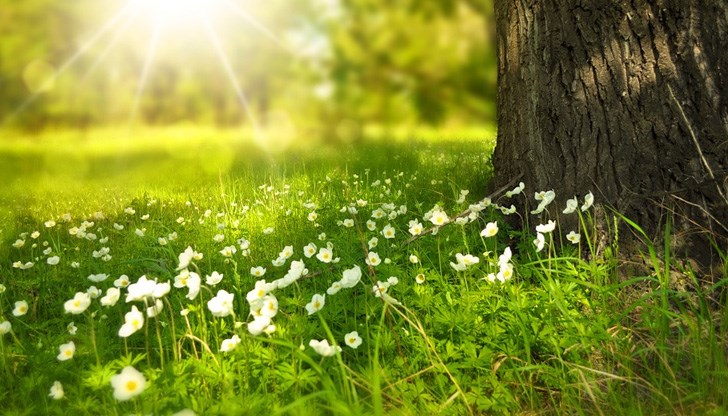 Температурите ще стигнат до 29 градуса Температурите ще стигнат до 29 градуса