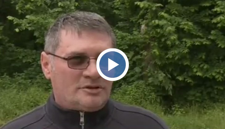 Те сигнализират за опасност от африканска чума поради увеличената популация на прасетата