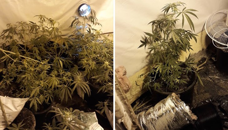 Кримигероят, стар познайник на полицията, се надявал да остане скрит сред екшъна на кварталното ежедневие