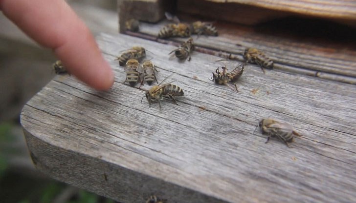 Уведомленията трябва да бъдат изпращани три дни предварително
