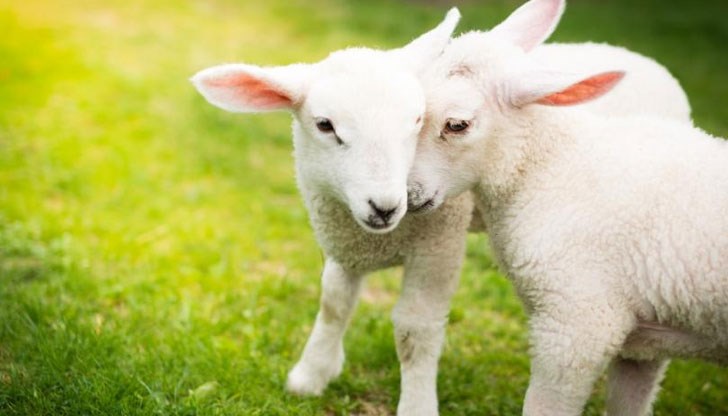 Гергьовден е най-големият български пролетен празник