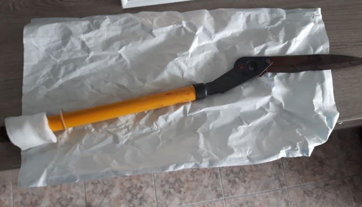 Ръждясалото острие минава през цялата буза и опира в черепа зад окото Ръждясалото острие минава през цялата буза и опира в черепа зад окото