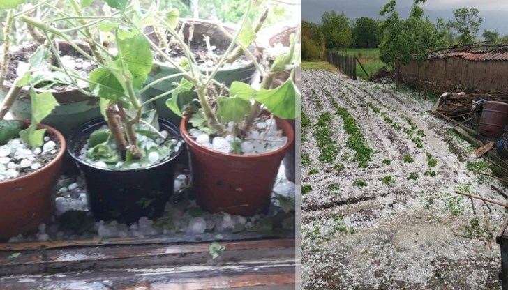 Градът е по-голям от орех