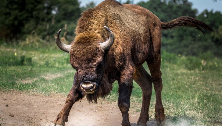 Важно е на кого бързо му минава...