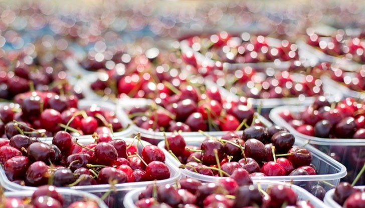 Търговците намерили 20 дървени маси, струпани като клада и изгорели