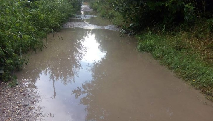 Това е уникална улица. Европейски съюз, България, Русе, улица "Адмирал Рождественски"!