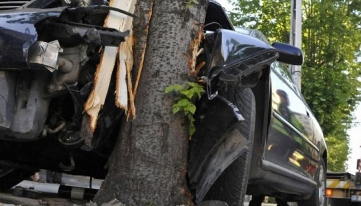 33-годишен шофьор се заби в крайпътно дърво / снимката е илюстративна