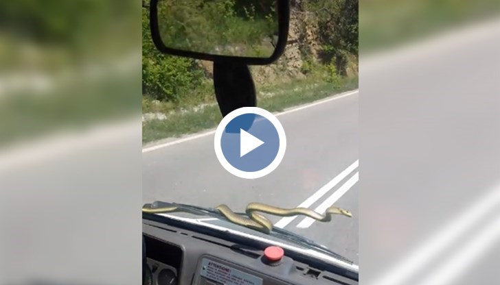 Шофьорът се опитва да я свали, като пуска чистачките