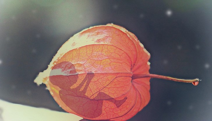 По-рано тази седмица в Алабама забраниха абортите във всички случаи По-рано тази седмица в Алабама забраниха абортите във всички случаи