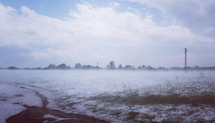 Става дума за ниви, засети с пшеница, рапица, слънчоглед, ечемик и царевица Става дума за ниви, засети с пшеница, рапица, слънчоглед, ечемик и царевица