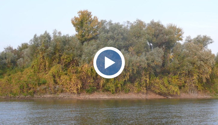 За целта са изразходвани половин милион евро