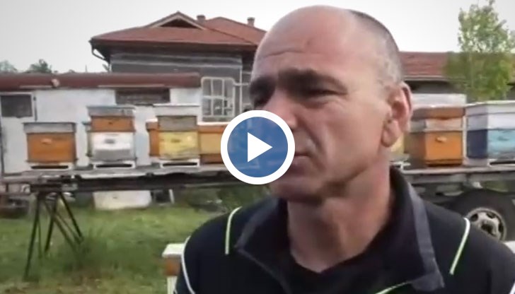 Причина за алергията е пръскането с пестициди на земеделските земи