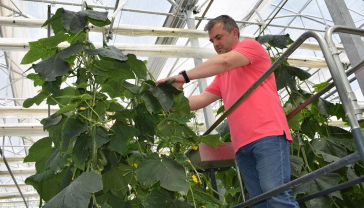 Иновативният оранжериен комплекс се намира в землището на село Припек Иновативният оранжериен комплекс се намира в землището на село Припек